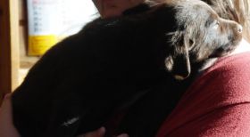 Nase in der Sonne.jpg