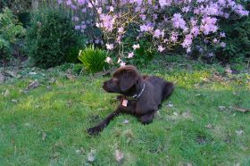 032011-6 Gartenlee.jpg