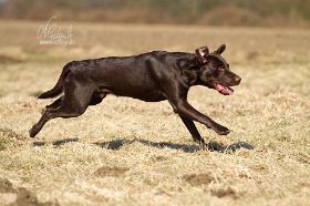 lee20130401_0089 (1).jpg